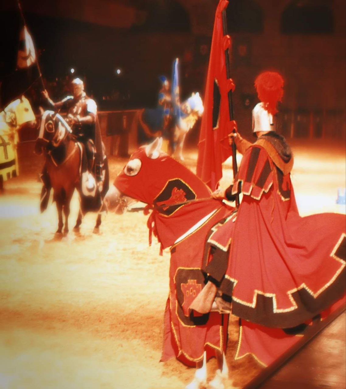 Visit San Miguel Castle Show Tenerife Aventura Excursions Book A 